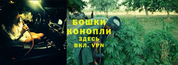тгк Белокуриха