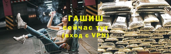 сатива Балахна