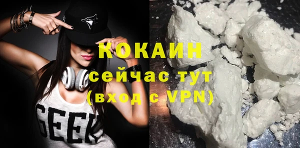 сатива Балахна