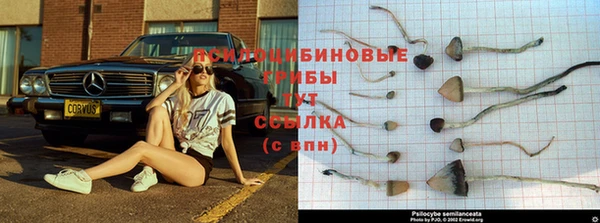 гашиш Балабаново