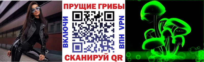 Галлюциногенные грибы мицелий  omg маркетплейс  Зарайск 